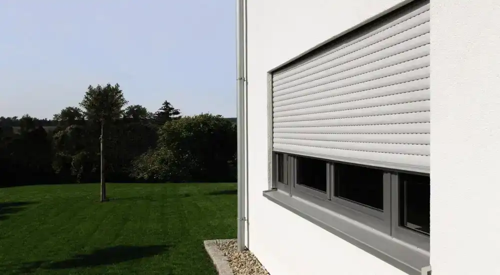 Blinds 006